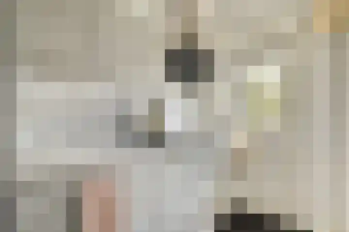 Willem de Zwijgerlaan 140 1 Amsterdam thumbnail 10