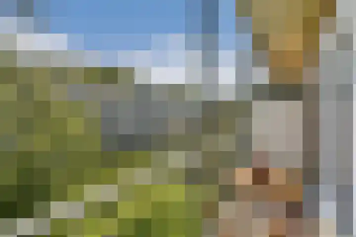 Willem de Zwijgerlaan 140 1 Amsterdam thumbnail 11