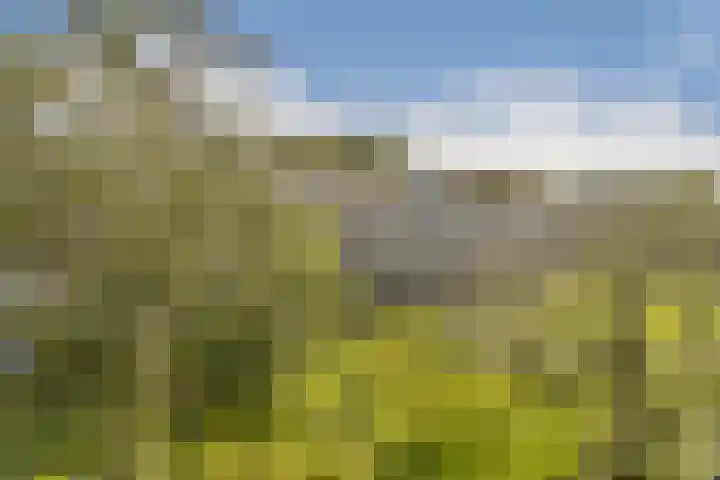 Willem de Zwijgerlaan 140 1 Amsterdam thumbnail 12