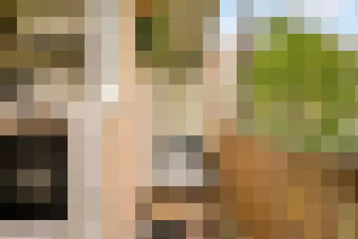 Willem de Zwijgerlaan 140 1 Amsterdam thumbnail 12