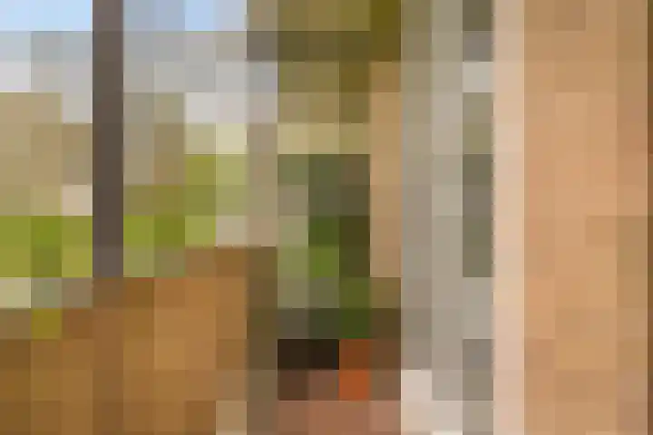 Willem de Zwijgerlaan 140 1 Amsterdam thumbnail 13
