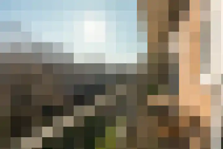 Willem de Zwijgerlaan 140 1 Amsterdam thumbnail 16