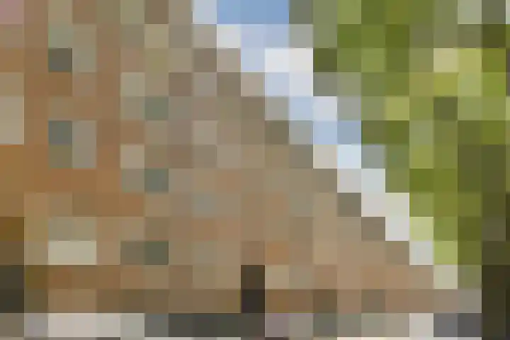 Willem de Zwijgerlaan 140 1 Amsterdam thumbnail 16