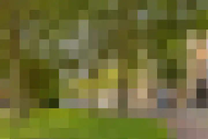 Willem de Zwijgerlaan 140 1 Amsterdam thumbnail 19