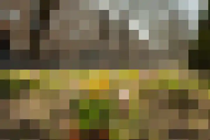 Willem de Zwijgerlaan 140 1 Amsterdam thumbnail 19
