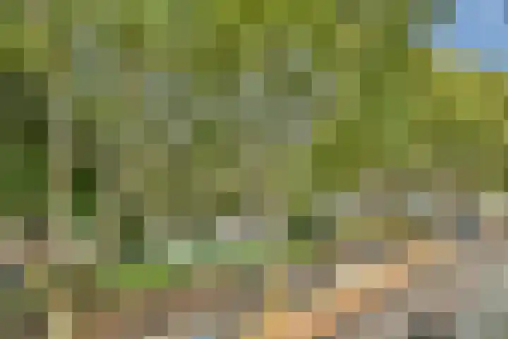 Willem de Zwijgerlaan 140 1 Amsterdam thumbnail 20