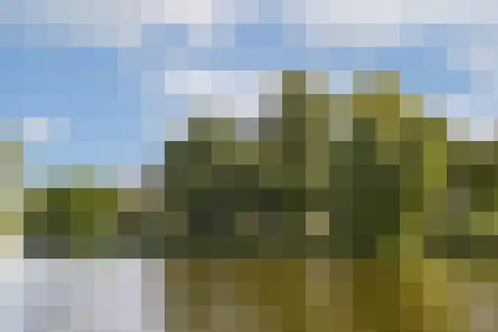 Willem de Zwijgerlaan 140 1 Amsterdam thumbnail 21