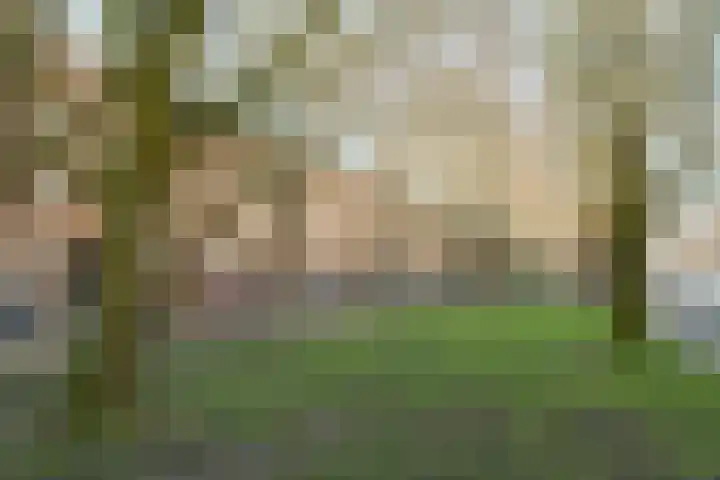 Willem de Zwijgerlaan 140 1 Amsterdam thumbnail 23
