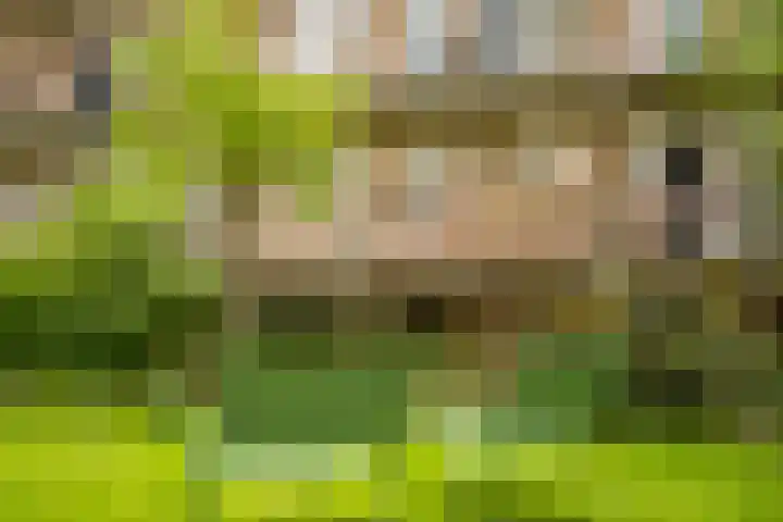 Willem de Zwijgerlaan 140 1 Amsterdam thumbnail 25