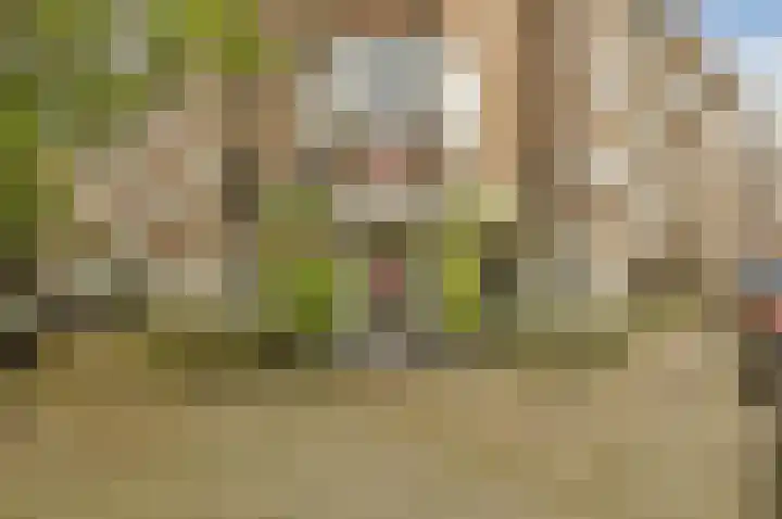 Willem de Zwijgerlaan 140 1 Amsterdam thumbnail 32