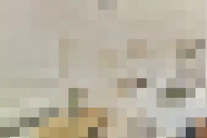 Willem de Zwijgerlaan 140 1 Amsterdam thumbnail 5
