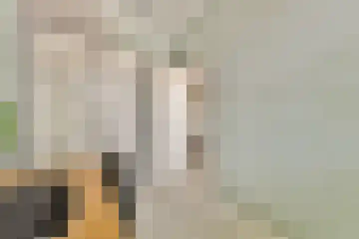 Willem de Zwijgerlaan 140 1 Amsterdam thumbnail 8