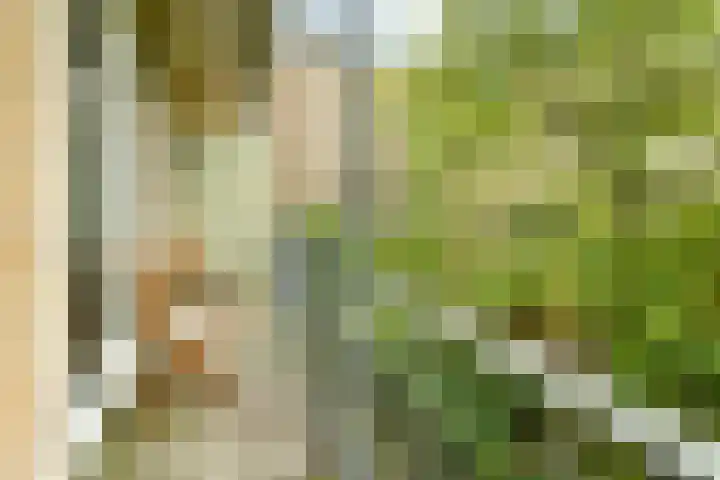Willem de Zwijgerlaan 142 2 Amsterdam thumbnail 11