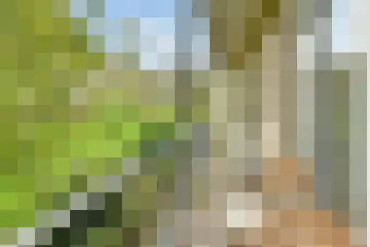 Willem de Zwijgerlaan 142 2 Amsterdam thumbnail 12