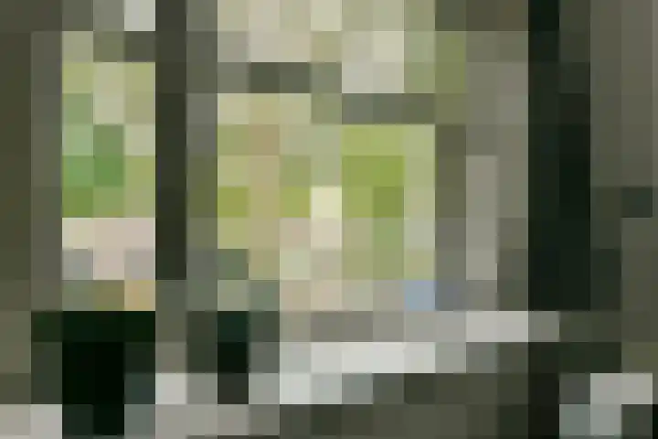 Willem de Zwijgerlaan 142 2 Amsterdam thumbnail 6