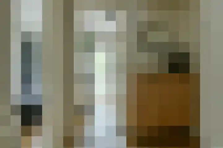 Willem de Zwijgerlaan 142 2 Amsterdam thumbnail 8