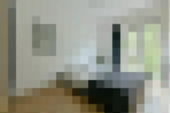 Willem de Zwijgerlaan 142 2 Amsterdam thumbnail 9