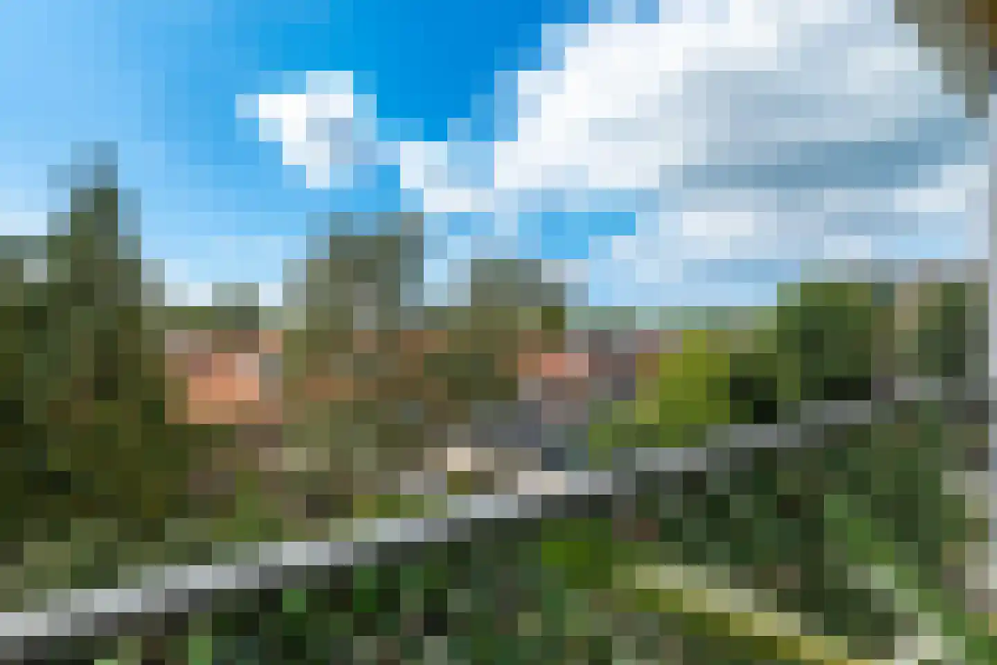 Willem de Zwijgerlaan 142 Alkmaar thumbnail 11