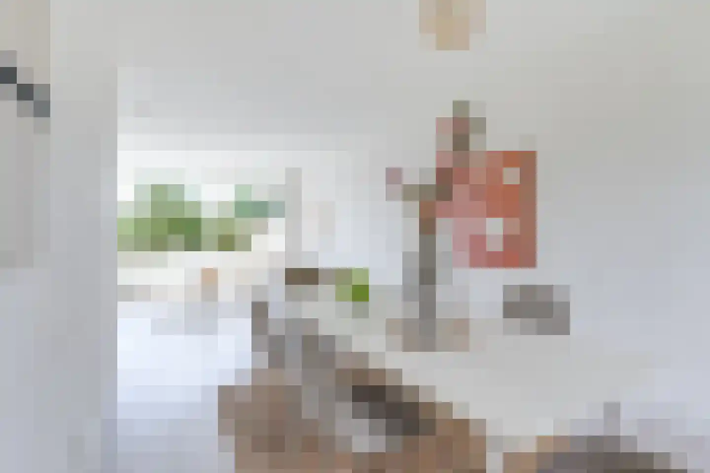 Willem de Zwijgerlaan 142 Alkmaar thumbnail 15