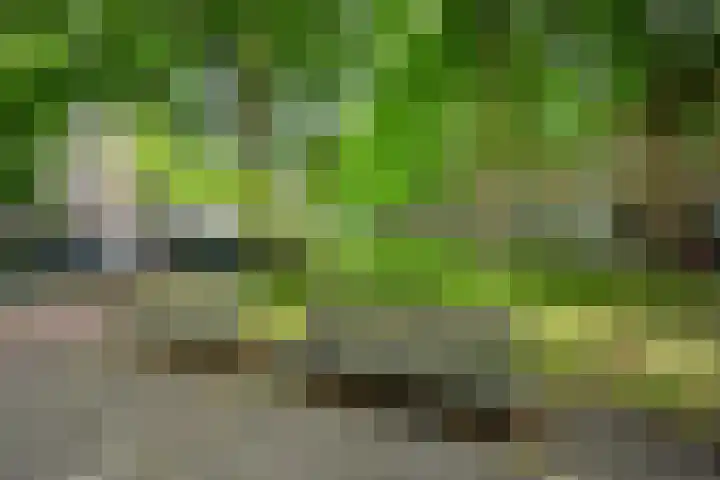 Willem de Zwijgerlaan 144 2 Amsterdam thumbnail 29