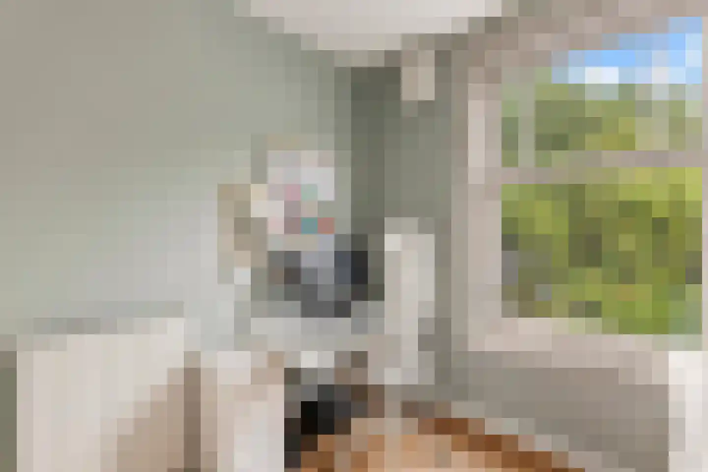 Willem de Zwijgerlaan 145 3 Amsterdam thumbnail 18