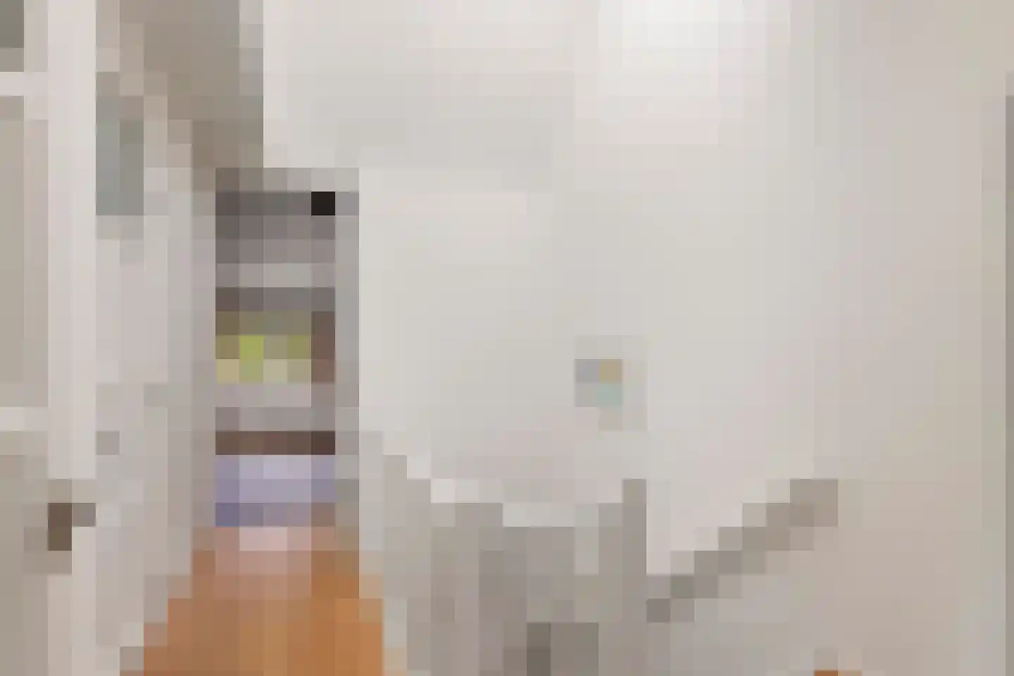 Willem de Zwijgerlaan 145 3 Amsterdam thumbnail 29