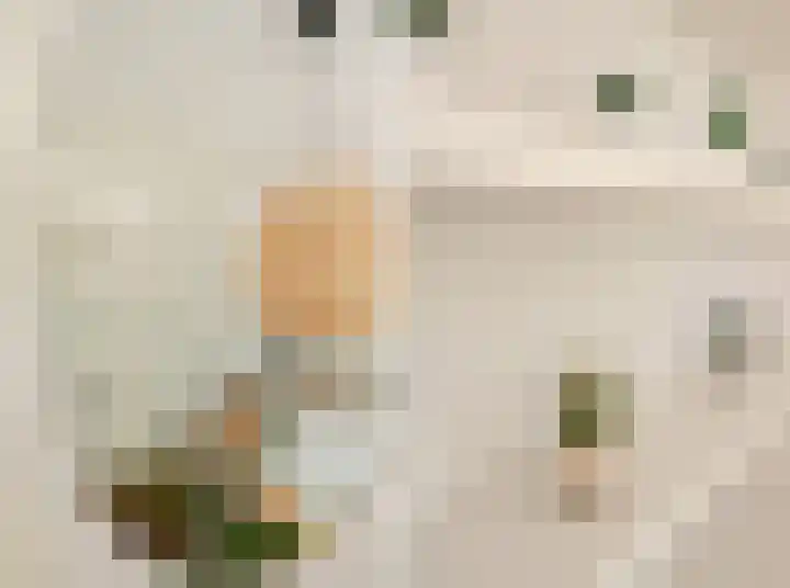 Willem de Zwijgerlaan 146 3 Amsterdam thumbnail 11