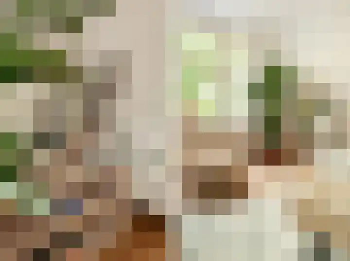 Willem de Zwijgerlaan 146 3 Amsterdam thumbnail 13