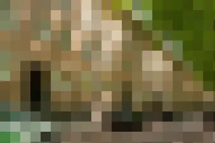 Willem de Zwijgerlaan 146 3 Amsterdam thumbnail 30