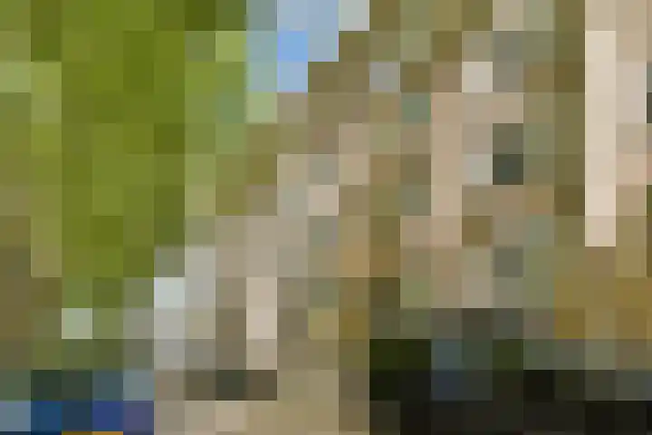 Willem de Zwijgerlaan 148 H Amsterdam thumbnail 17