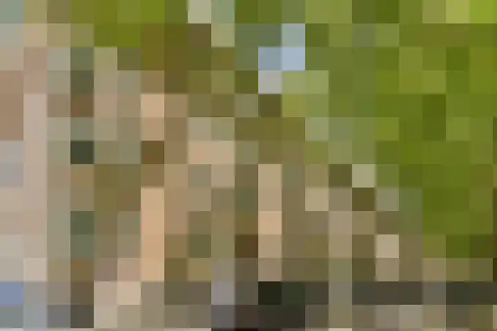 Willem de Zwijgerlaan 148 H Amsterdam thumbnail 19