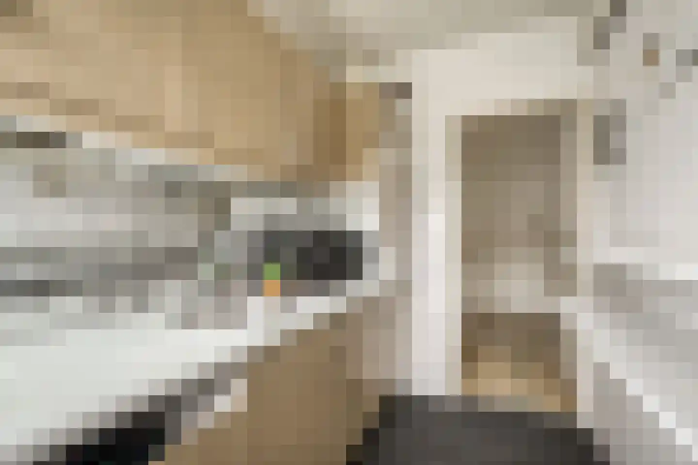 Willem de Zwijgerlaan 15 Katwijk thumbnail 23