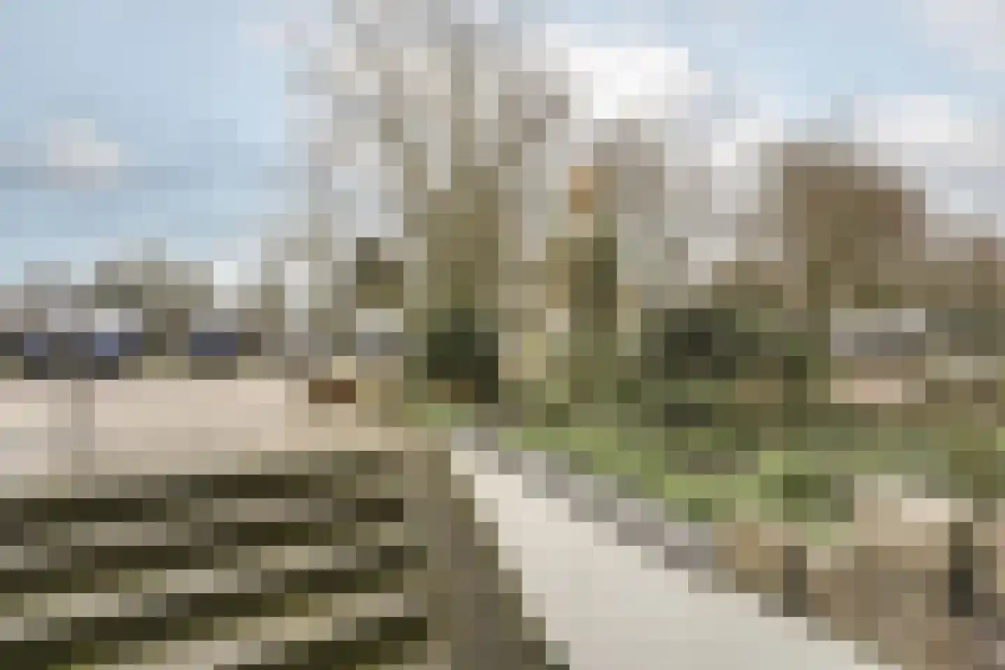 Willem de Zwijgerlaan 15 Katwijk thumbnail 26