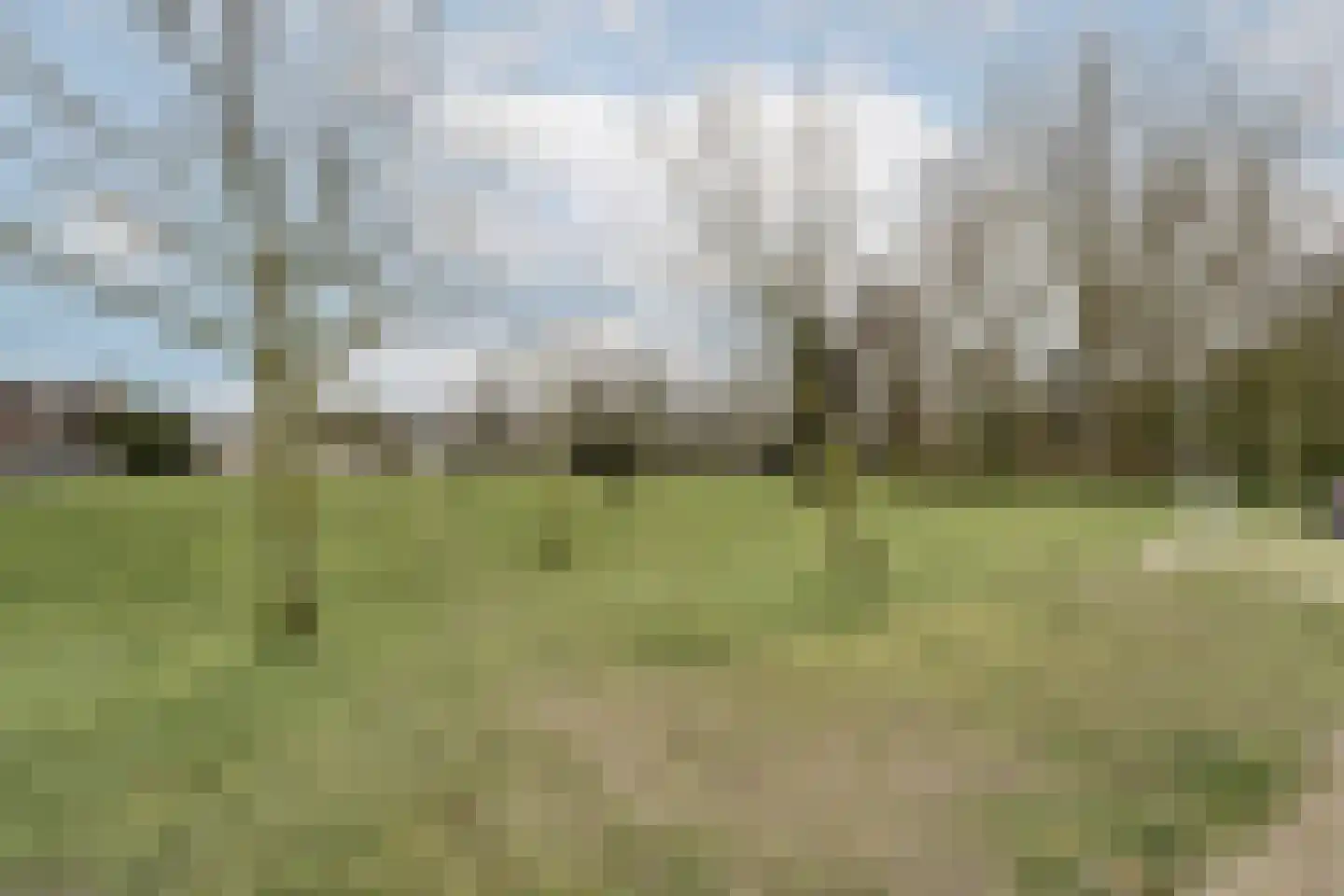 Willem de Zwijgerlaan 15 Katwijk thumbnail 30
