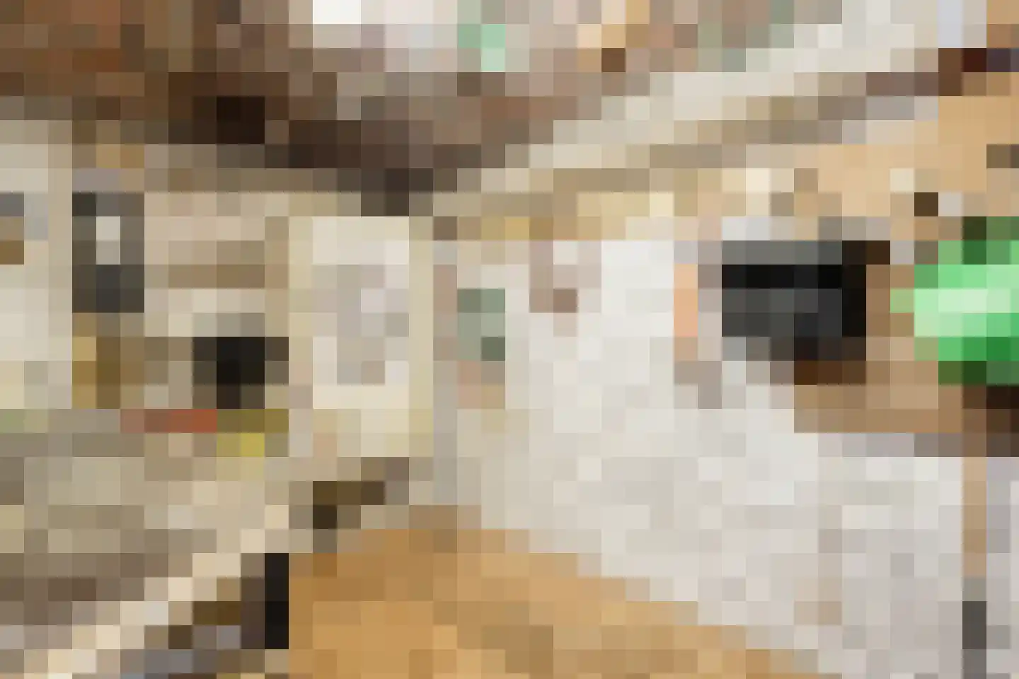 Willem de Zwijgerlaan 15 Katwijk thumbnail 7