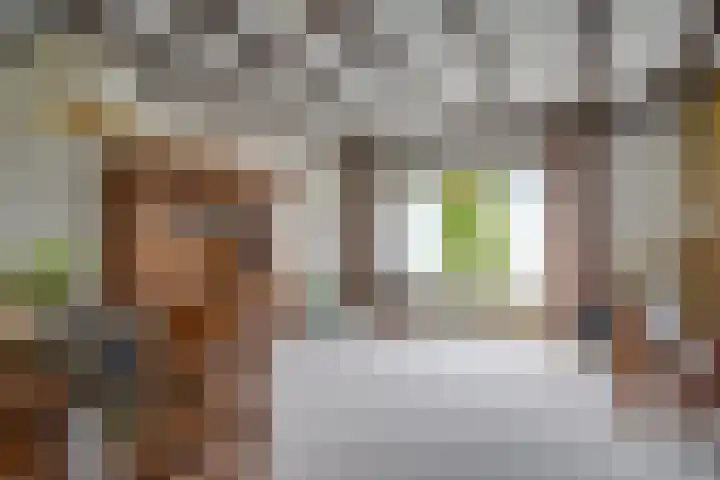 Willem de Zwijgerlaan 15 Woudenberg thumbnail 11