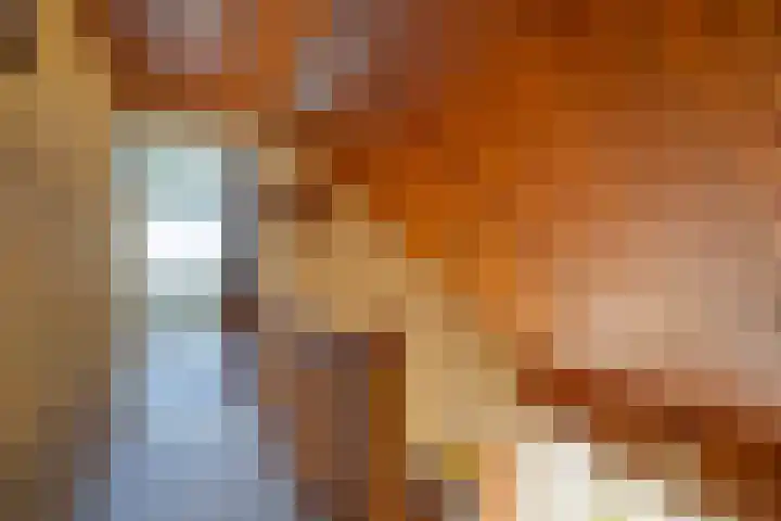 Willem de Zwijgerlaan 15 Woudenberg thumbnail 19