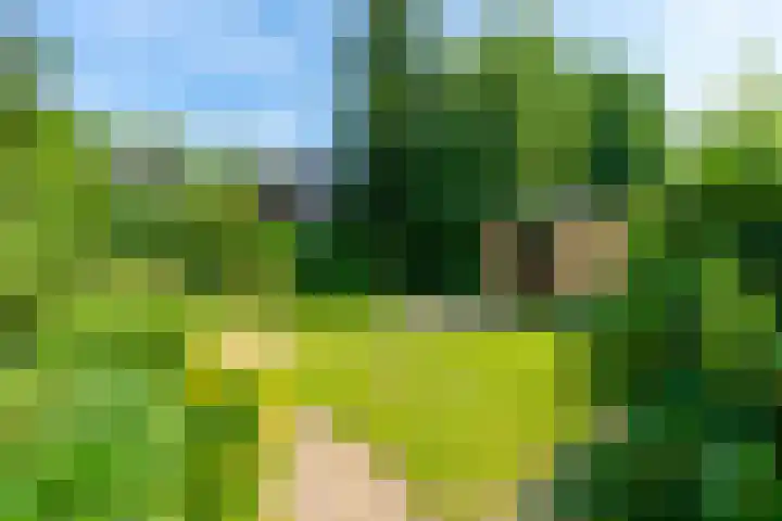 Willem de Zwijgerlaan 15 Woudenberg thumbnail 24