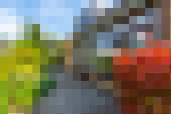 Willem de Zwijgerlaan 15 Woudenberg thumbnail 25
