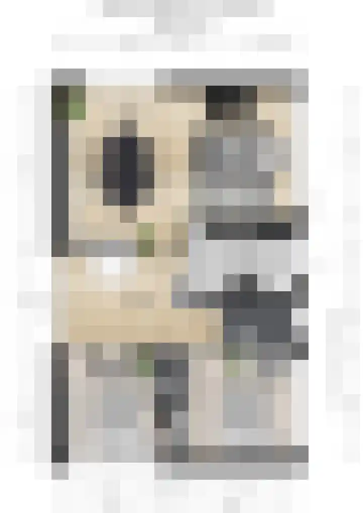 Willem de Zwijgerlaan 15 Woudenberg thumbnail 27
