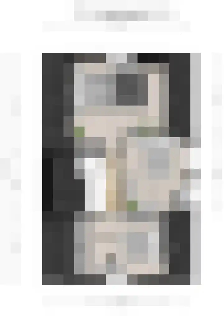 Willem de Zwijgerlaan 15 Woudenberg thumbnail 28
