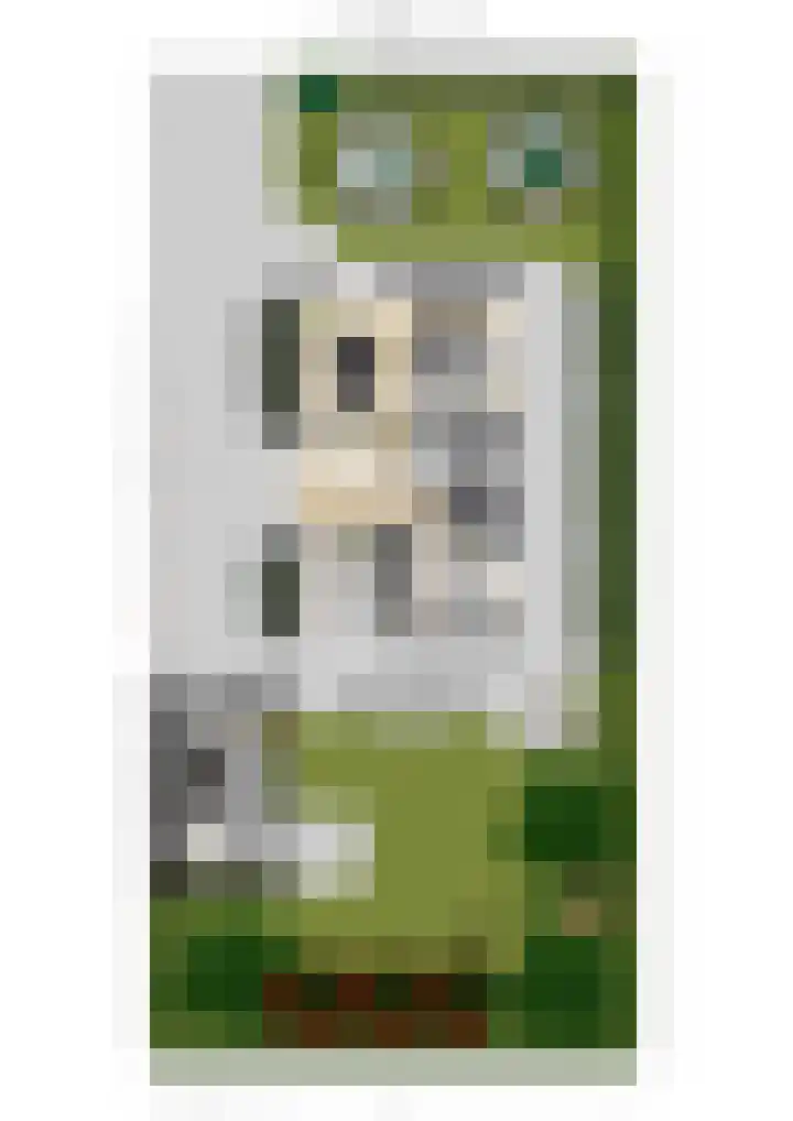 Willem de Zwijgerlaan 15 Woudenberg thumbnail 30