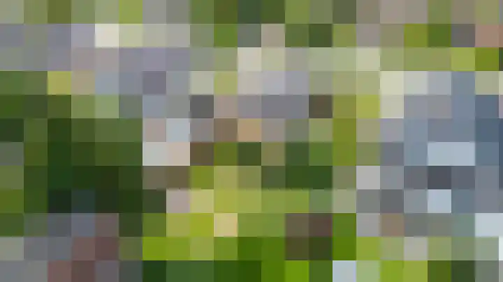 Willem de Zwijgerlaan 15 Woudenberg thumbnail 5