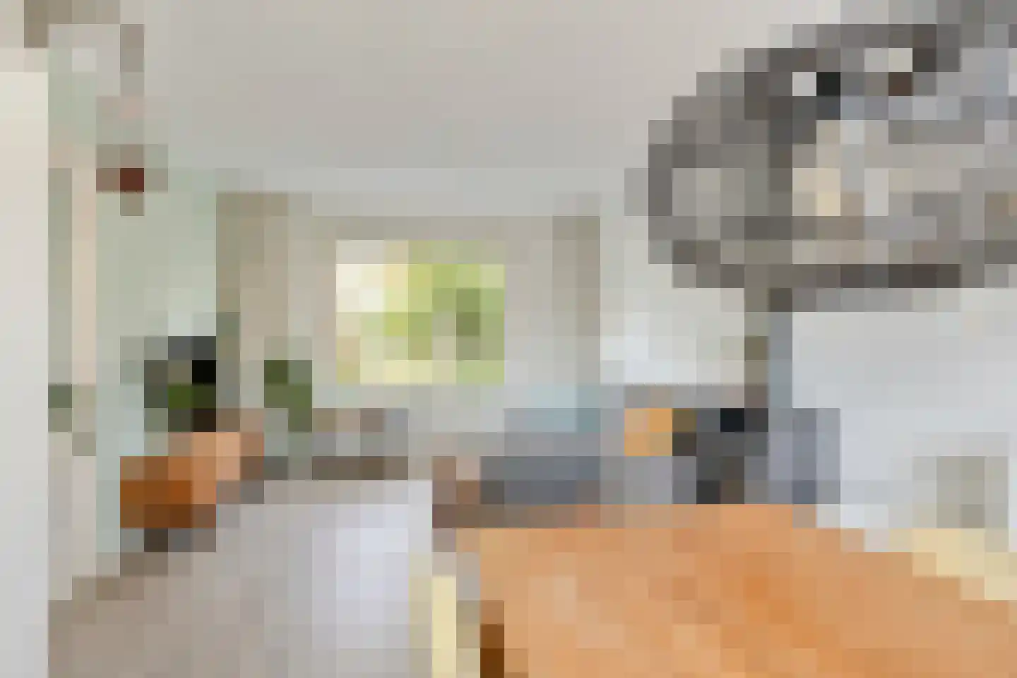 Willem de Zwijgerlaan 16 Doesburg thumbnail 10