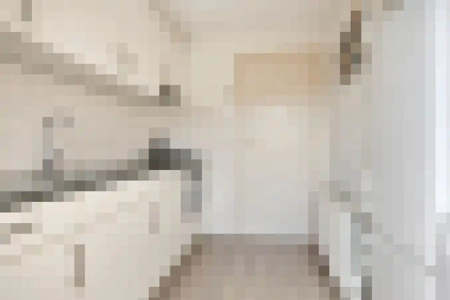 Willem de Zwijgerlaan 16 Doesburg thumbnail 12