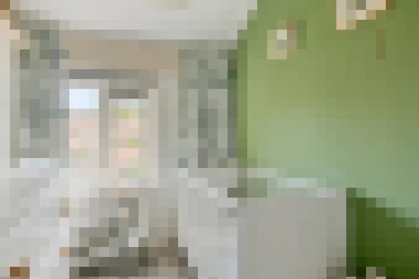 Willem de Zwijgerlaan 16 Doesburg thumbnail 17