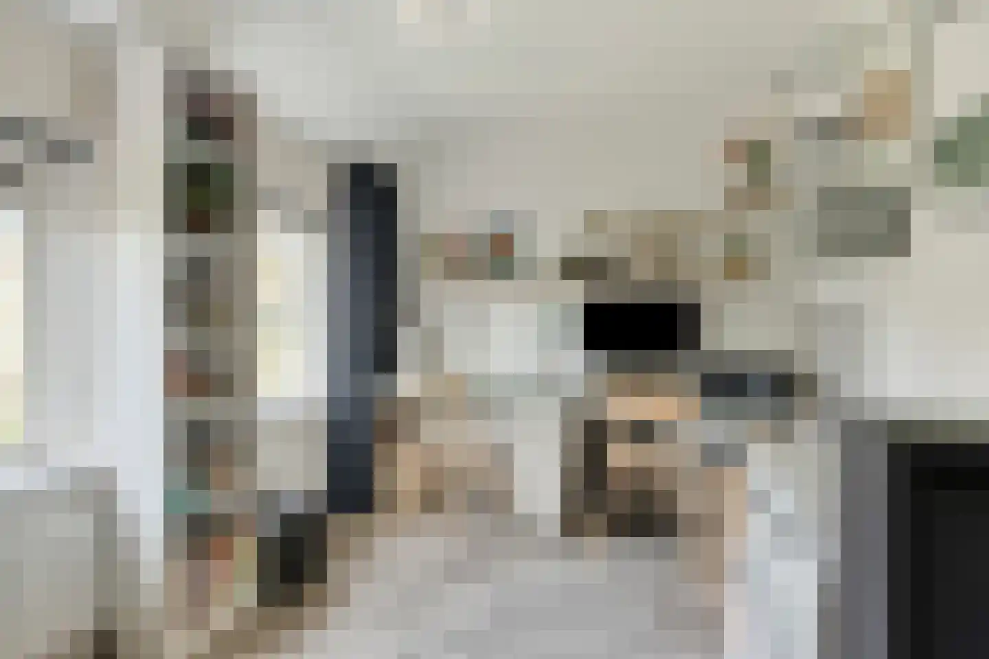 Willem de Zwijgerlaan 16 Doesburg thumbnail 18