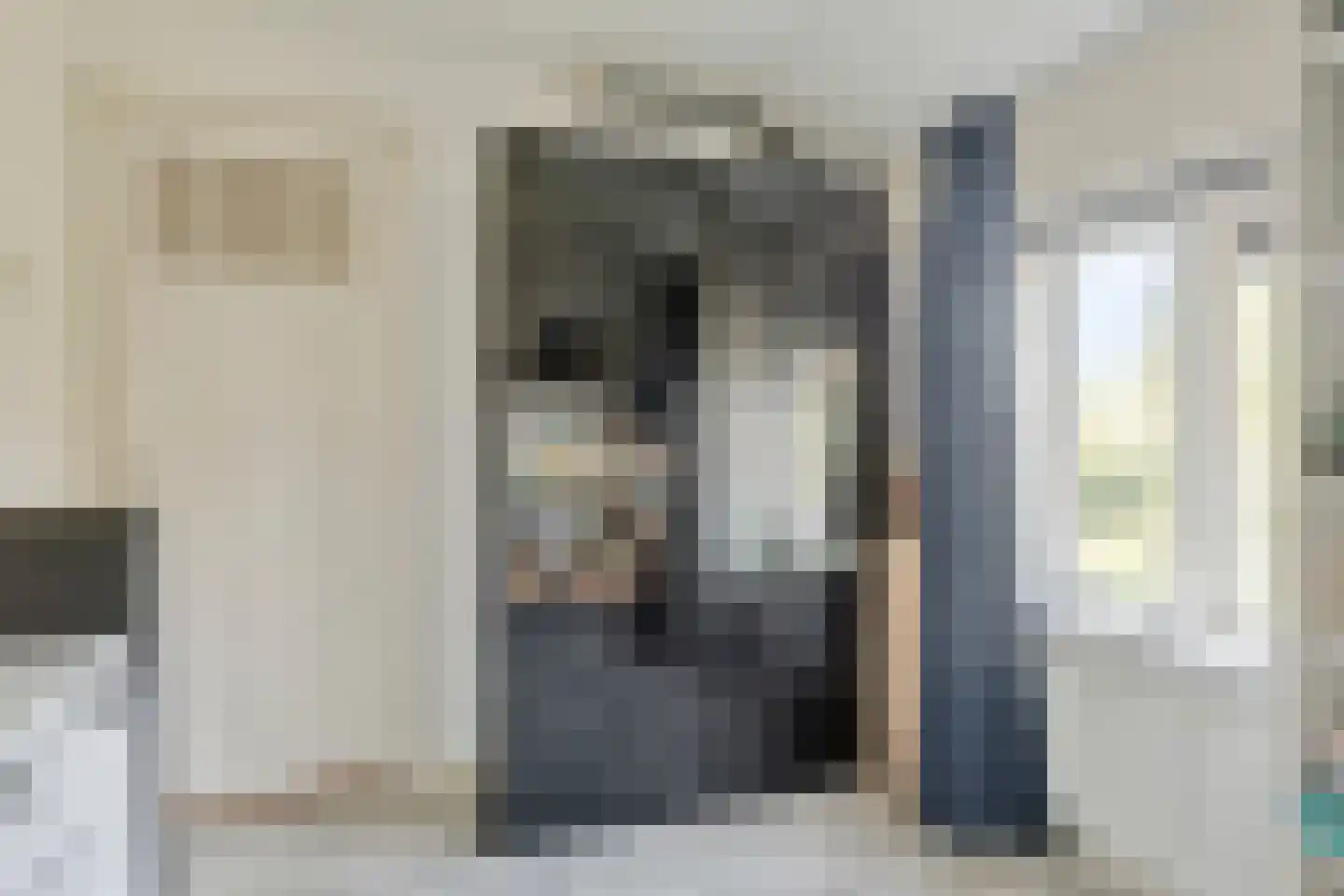 Willem de Zwijgerlaan 16 Doesburg thumbnail 19