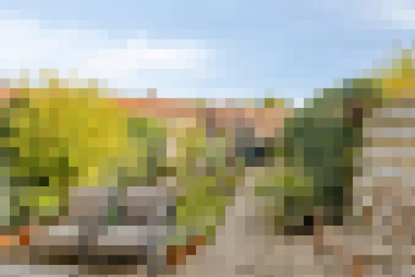 Willem de Zwijgerlaan 16 Doesburg thumbnail 20