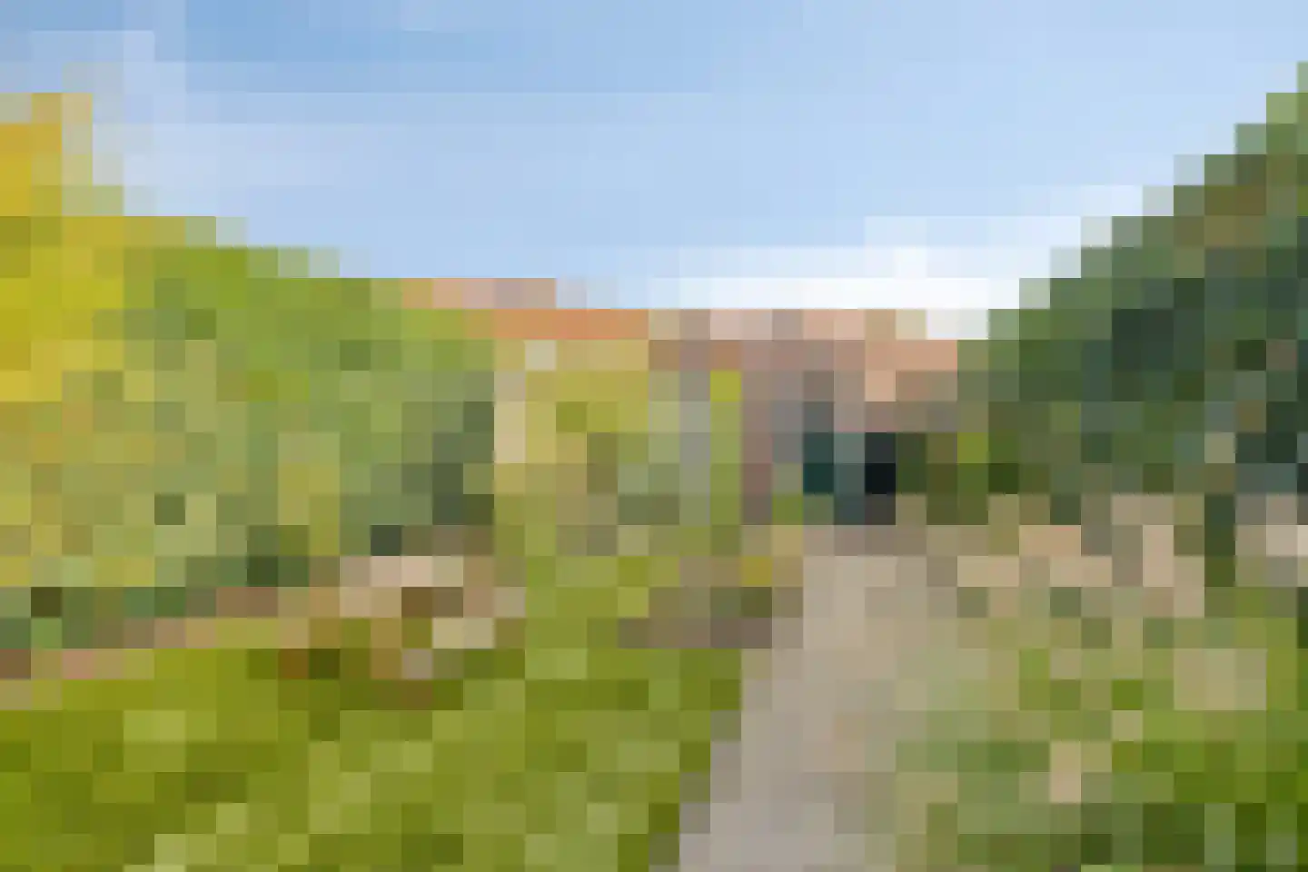 Willem de Zwijgerlaan 16 Doesburg thumbnail 22